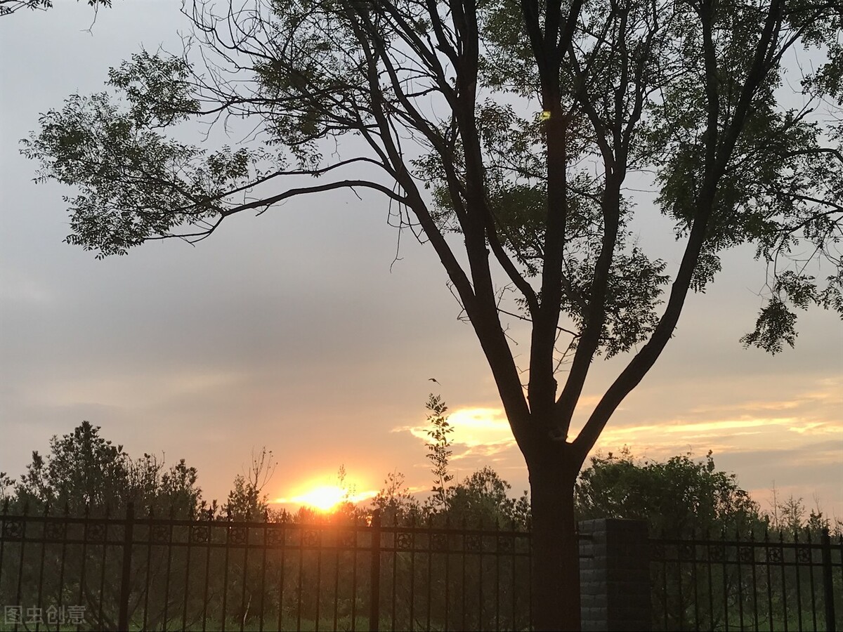 波澜壮阔的日出,雄伟壮观的日出