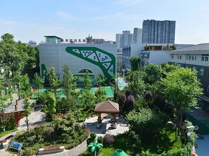 成都体校有哪些学校,成都少体校有哪些