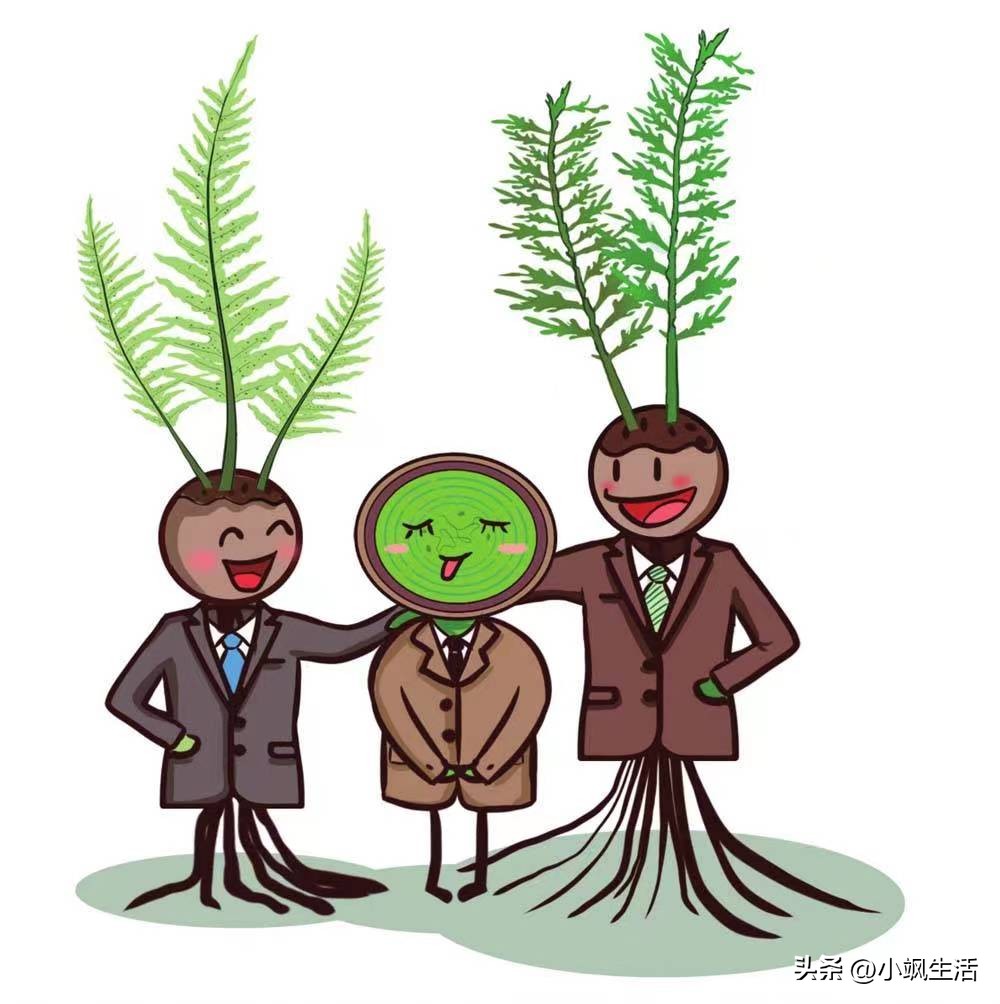 #神奇植物看这里01丨植物与植物之间的关系：商业经济化视角