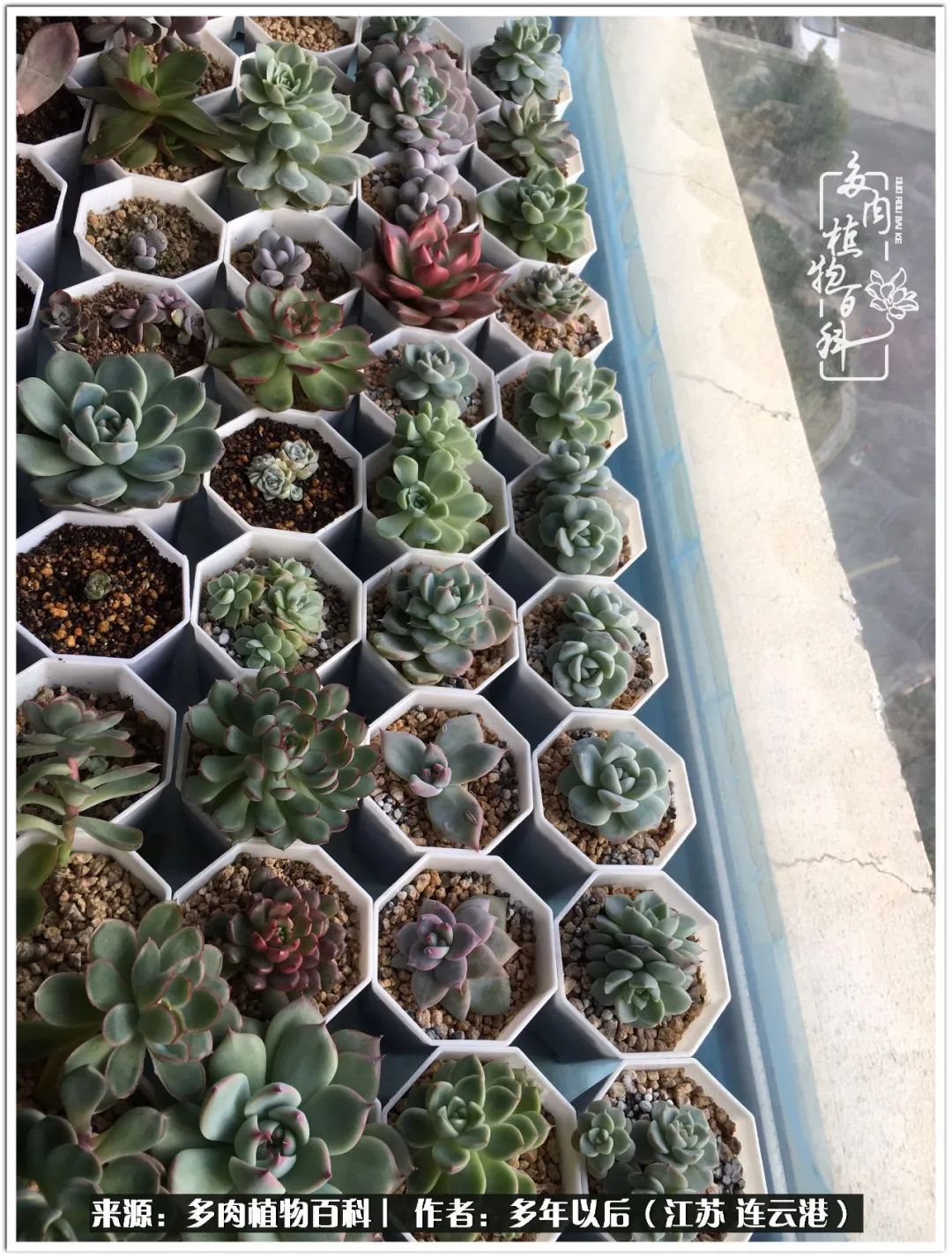 我若不弃，愿你不负我所期