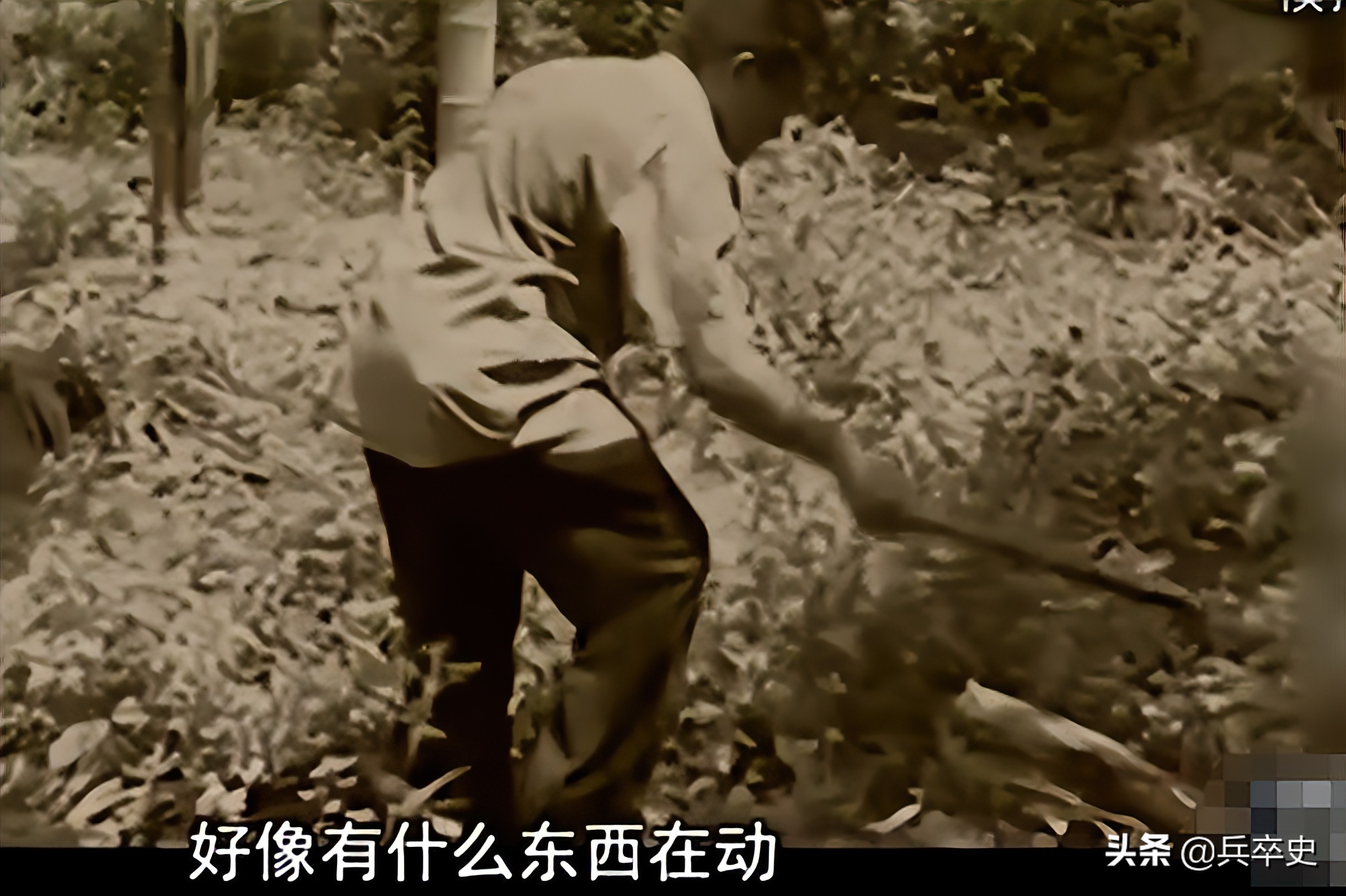 六七十年代海南巨蟒事件,1996年蟒蛇报恩甘愿当保姆