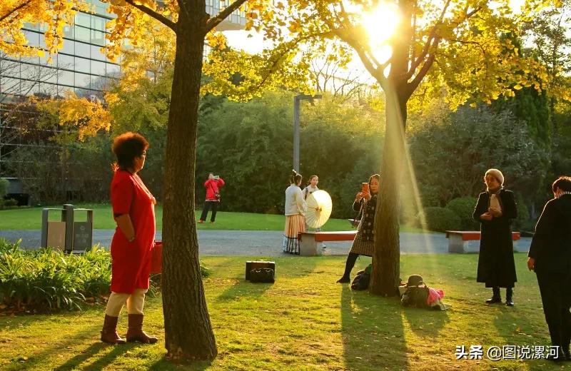 获奖摄影比赛作品,摄影比赛获奖名单公示