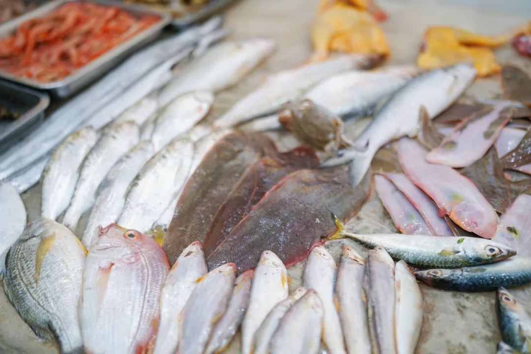 真吃不下了,这个靠海吃海的小县城怎么就能这么好吃