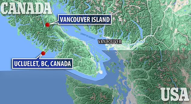 恐怖的海浪：1300年一遇！17.8米的“疯狗浪”究竟怎么产生的？