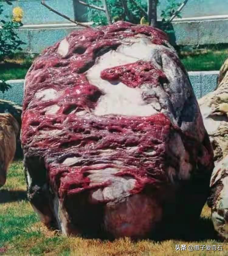 最值钱的黄蜡石奇石,黄蜡石奇石价值10万以上的