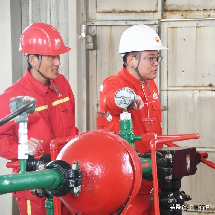 特别策划案例,特别策划系列