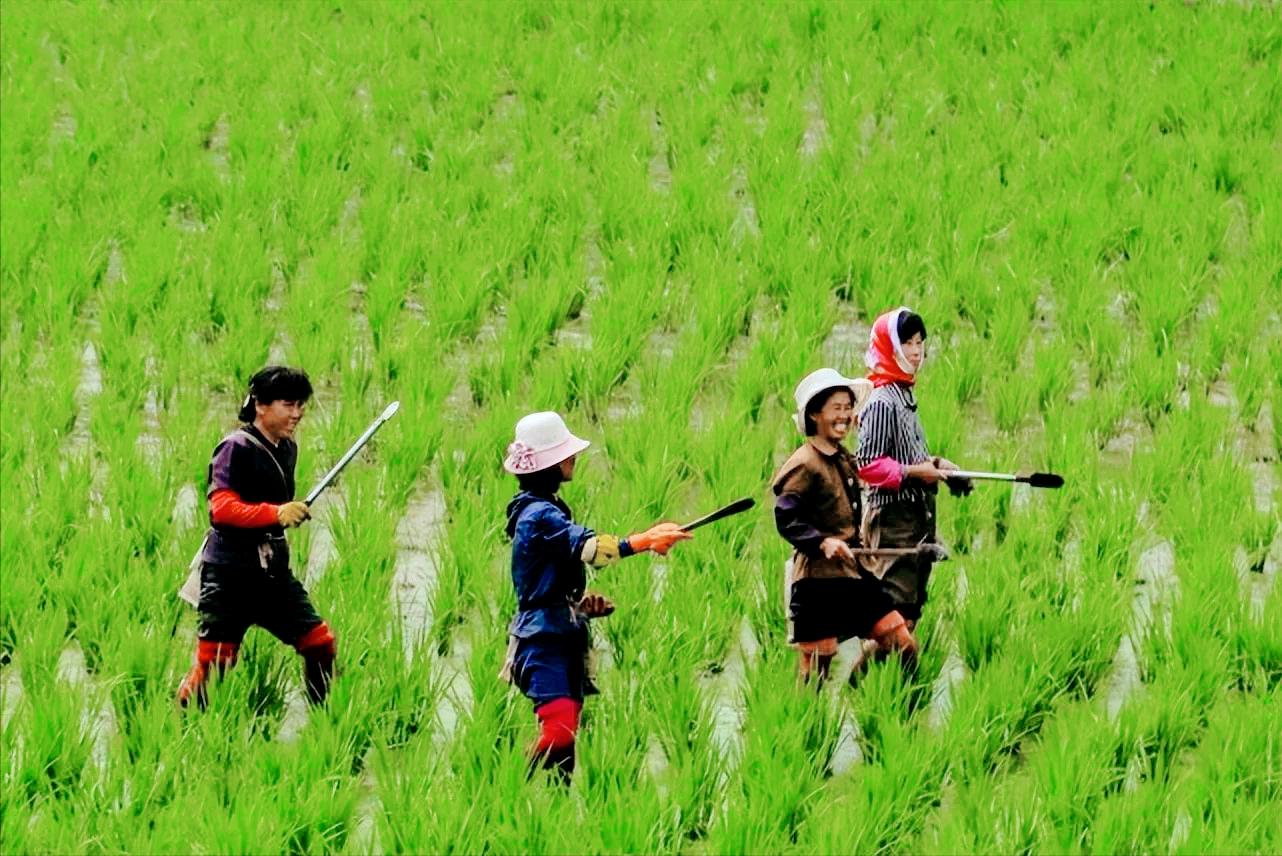 中国人去朝鲜会有什么样的待遇,中国人去到朝鲜朝鲜人会做什么