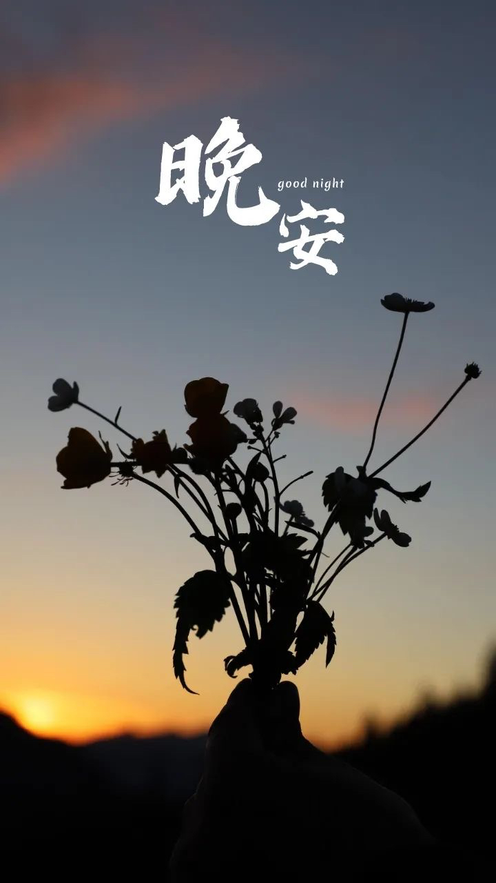 晚安语录送走一天的忙碌，封存今日的烦恼，温习收获的快乐