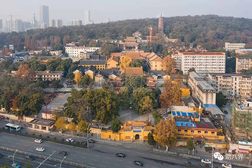 武汉必打卡的十大景点介绍,武汉南湖网红打卡景点