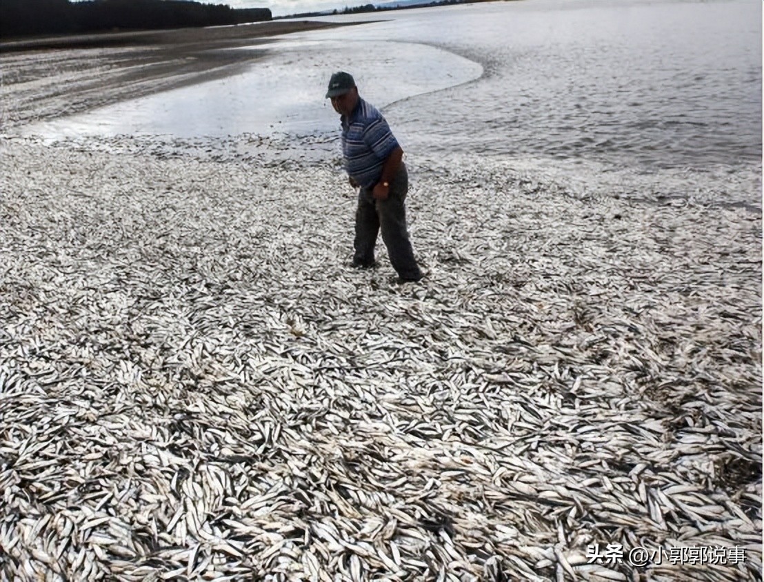 太仓购买日本核辐射食品,江苏太仓查出辐射海产品