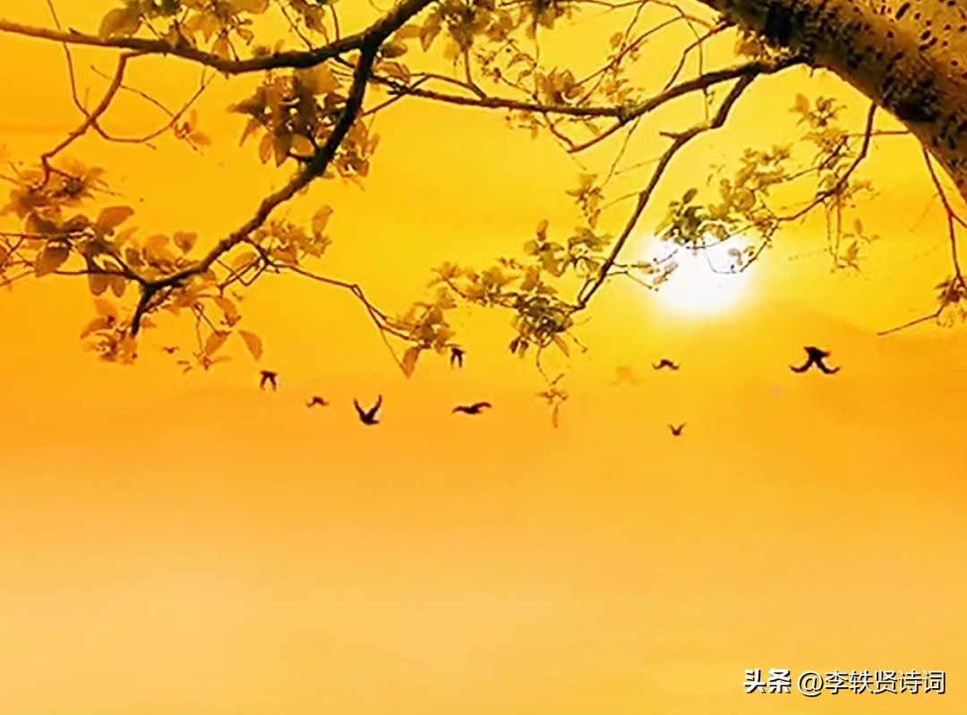 《百味诗词》第13期作品点评。嘉宾：王力、王十二（总第29期）