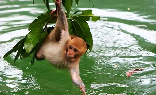 南宁到青海自驾游旅游攻略,从南宁去张家界自驾游攻略