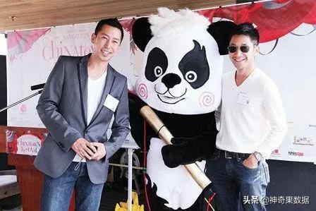 冰墩墩大熊猫,冰墩墩国宝级熊猫