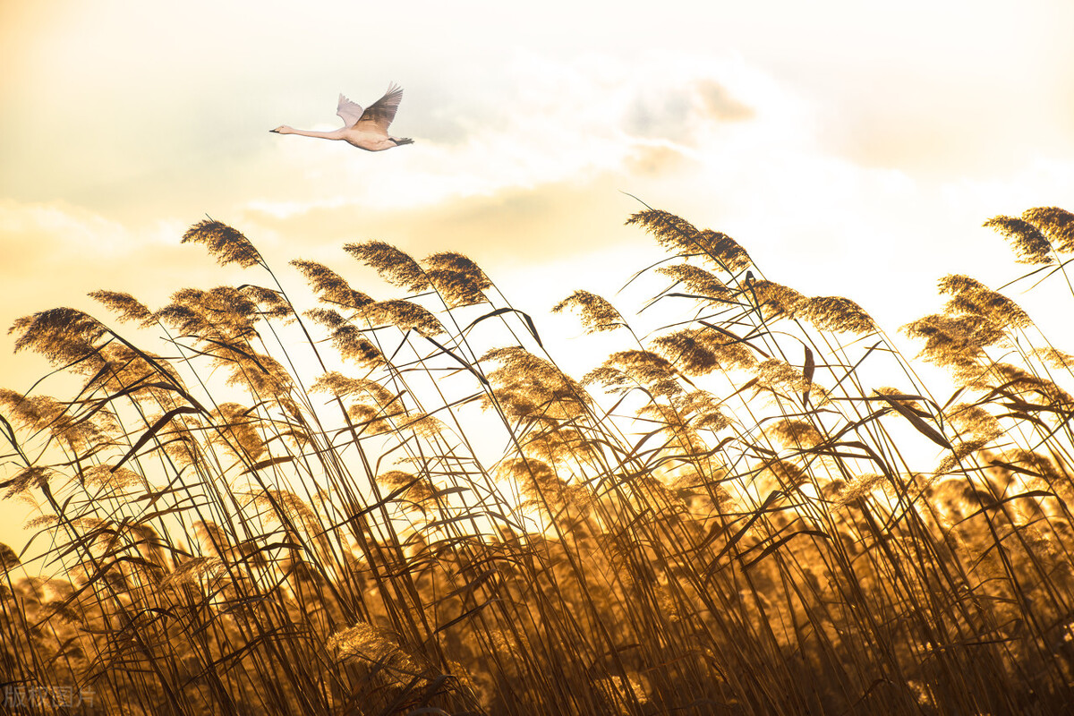 昨天的故事245,昨天的故事7