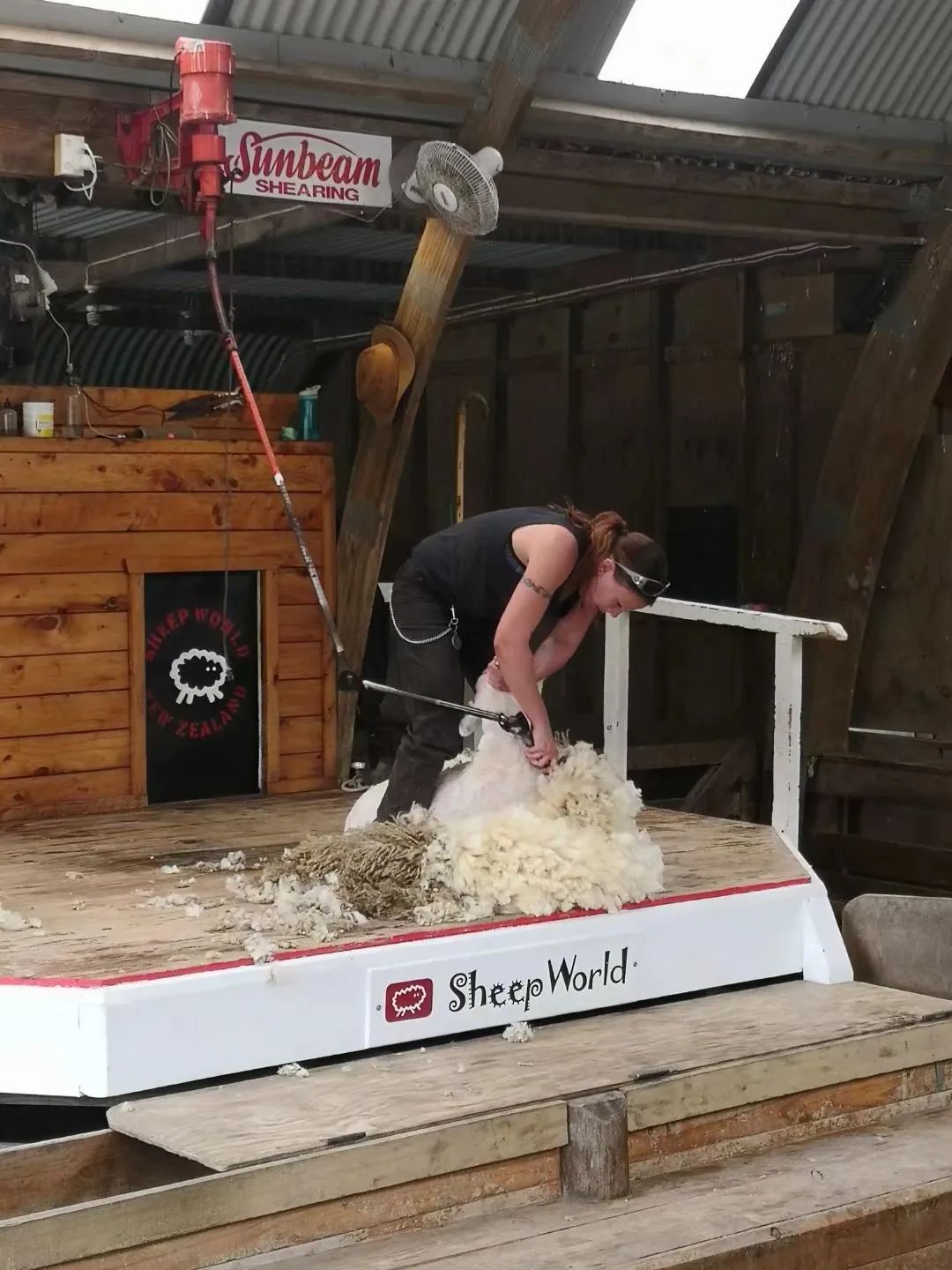 优优在新西兰：职高毕业，生两个小孩，打两份工，拿三个学位