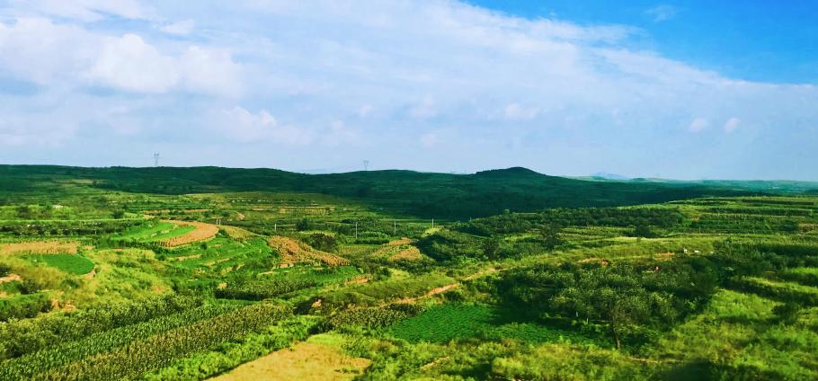 乡镇一把手必读|2023年乡镇旅游发展重点