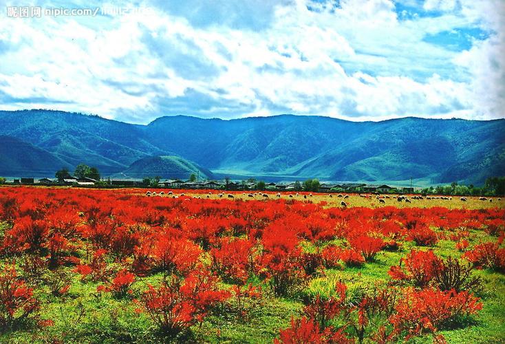 云南最漂亮的景点排名,云南最漂亮的景点推荐