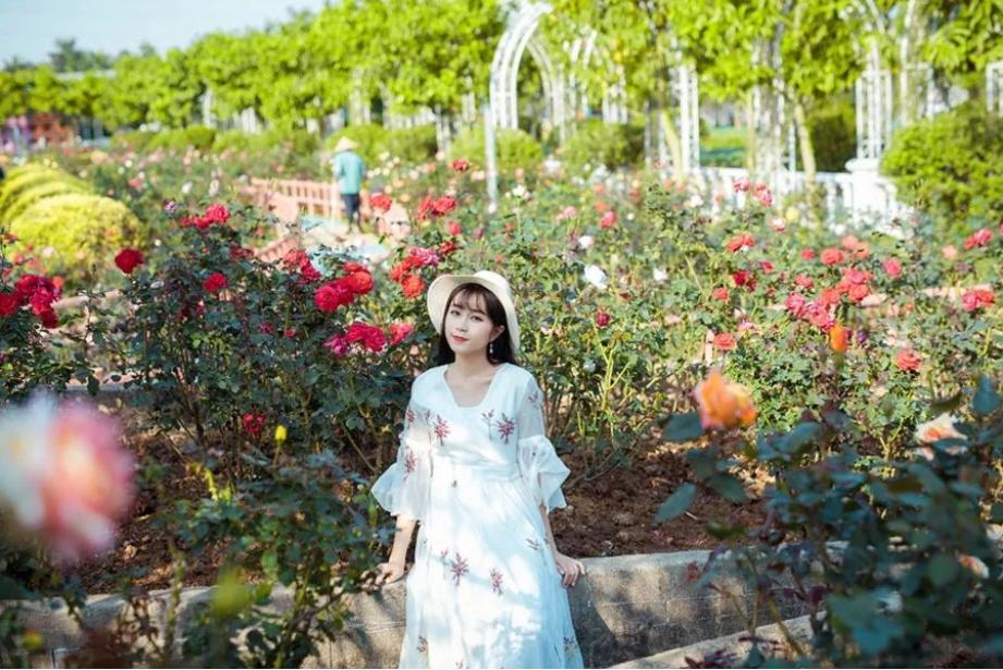 广州百万葵园住宿,广州百万葵园度假区