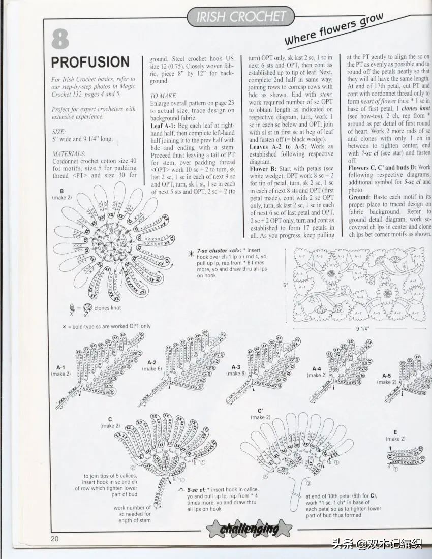 爱尔兰花和叶子大全，最令人心动的钩编之法