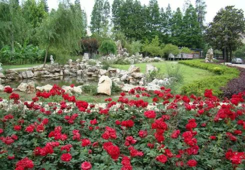 武汉十所最好的小学和中学,武汉十校初中排名