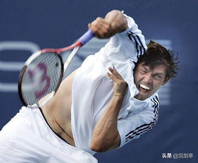 十大经典抓拍照片,100张不可思议的抓拍照