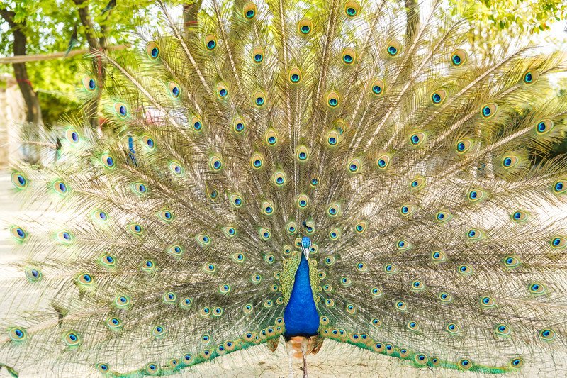 宿州两日游,宿州旅游攻略三日游
