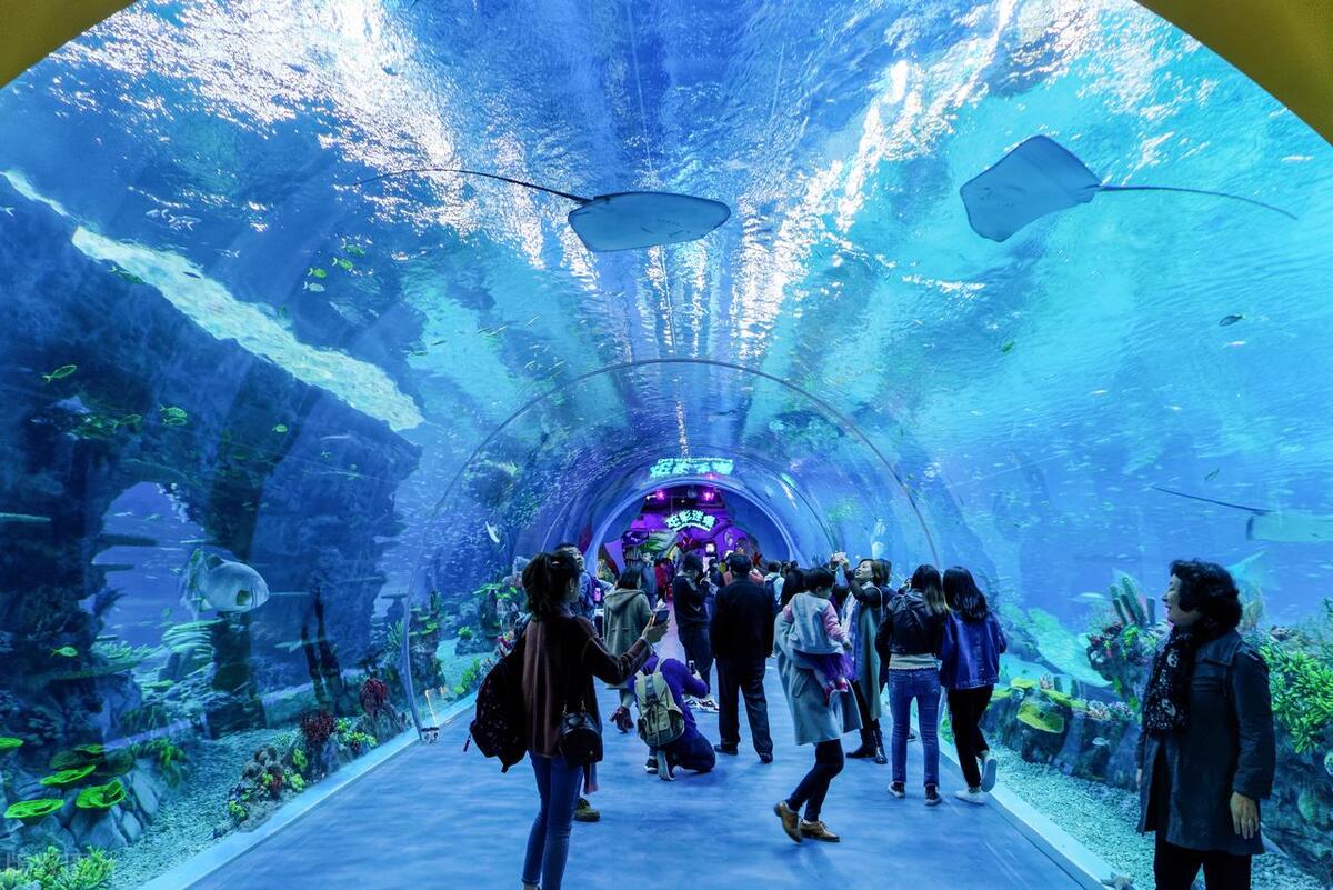 打卡上海网红景点,上海打卡景点