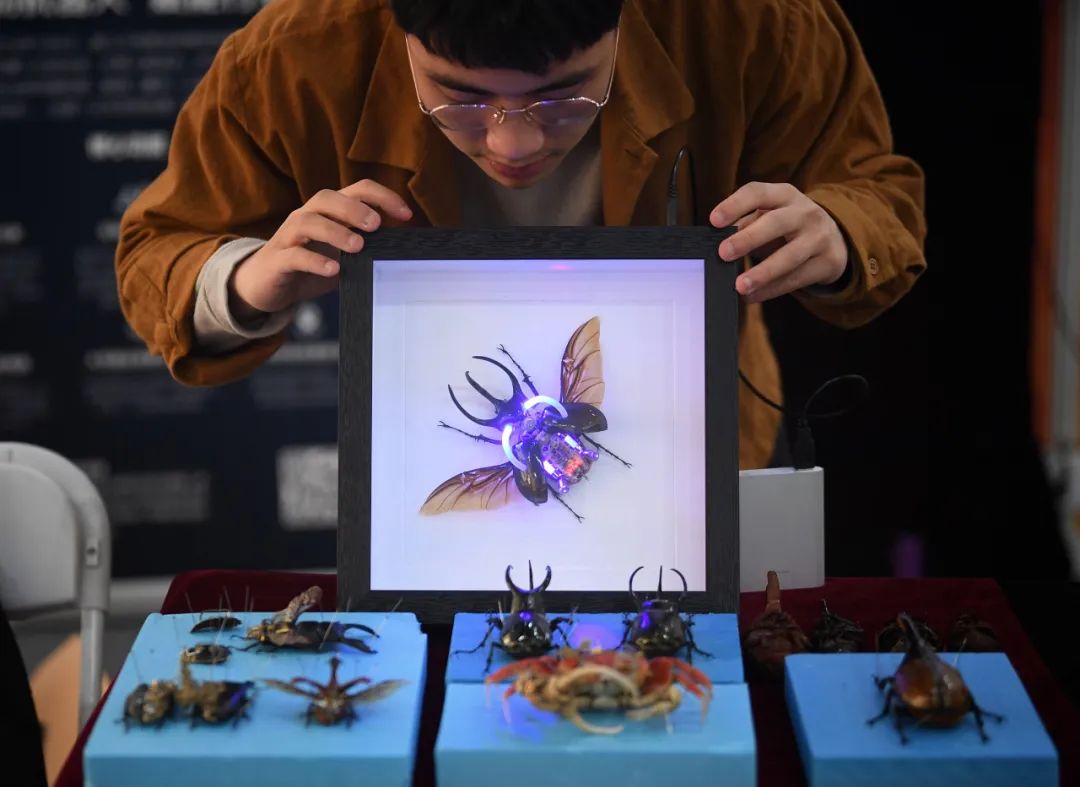 热血沸腾！这就是我想看的全国大赛