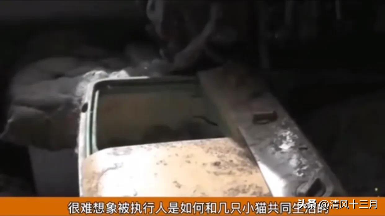 出租房租客不搬离怎么办,房屋出租他不给租金又不走怎么办