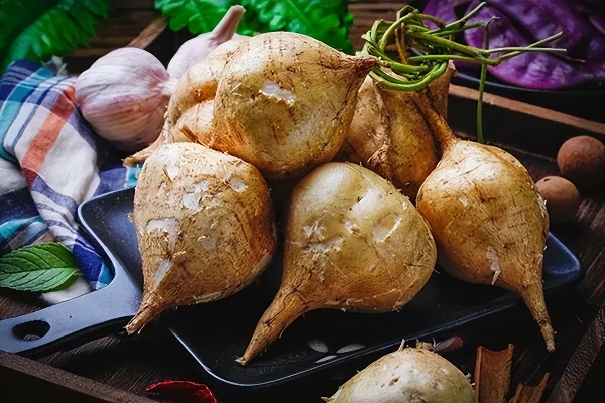 浙江人常吃的蔬菜有哪些,幼儿园常吃的蔬菜有哪些