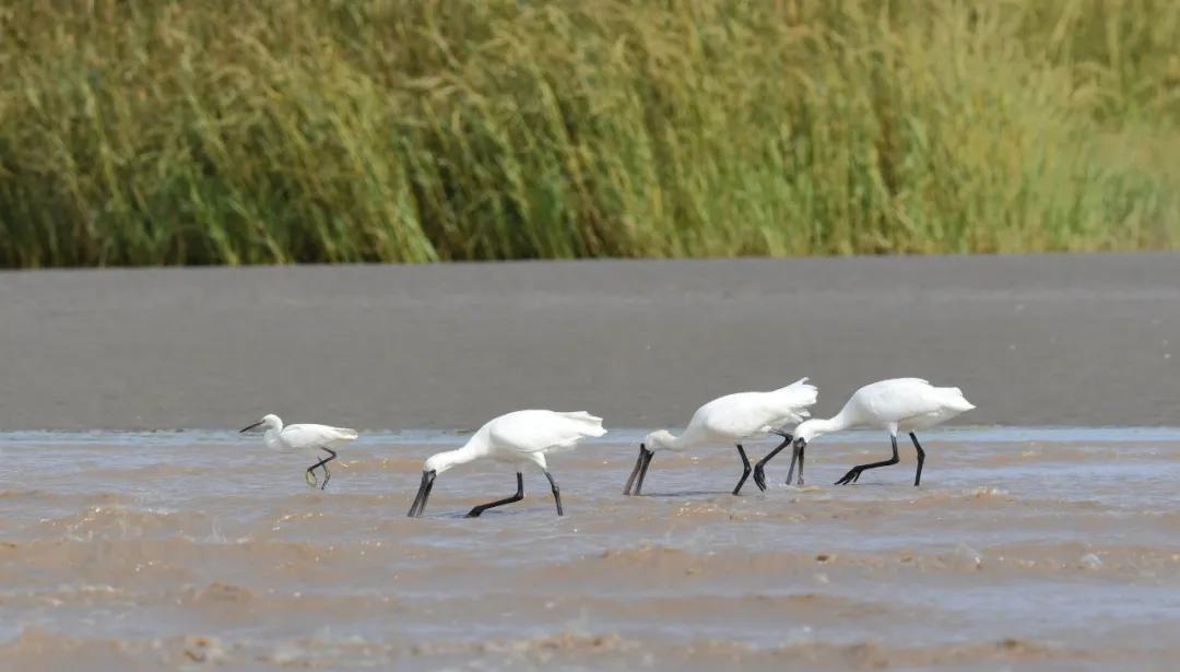 浦东亲子游玩地方,浦东遛娃好去处室内