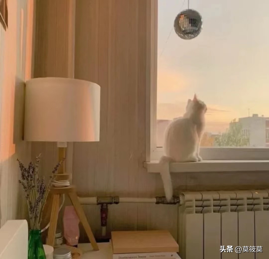 微信个性签名女简短气质高雅,独一无二的微信个性签名霸气简短