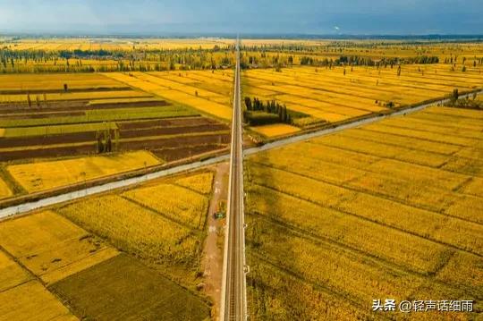 农村土地承包给个人合法吗,农村土地承包种地合算吗