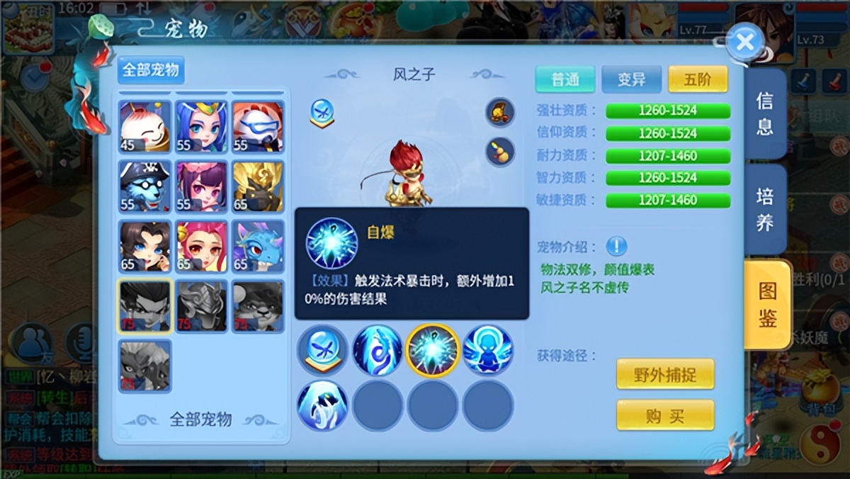 天书奇谈vip兑换码,天书奇谈gm版手游小金龙礼包