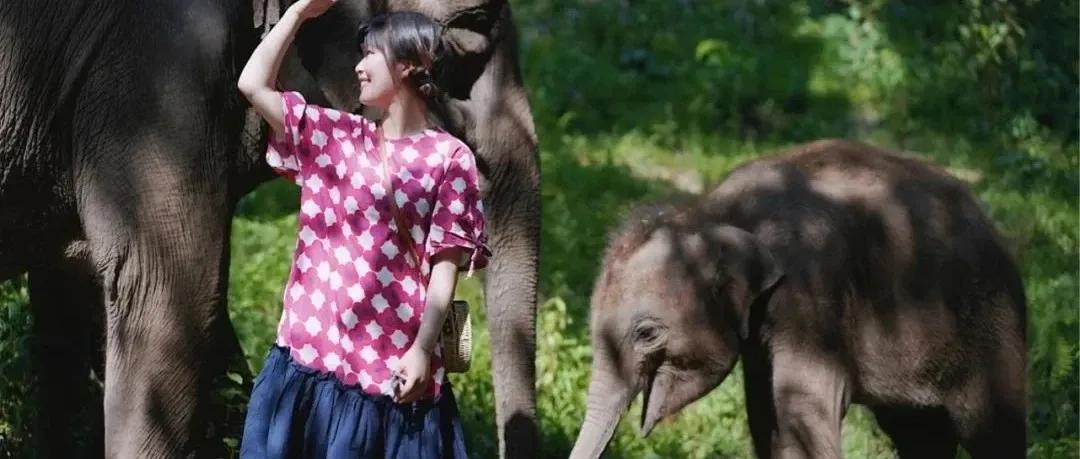 云南西双版纳风景领略异域风情,云南西双版纳真实风景