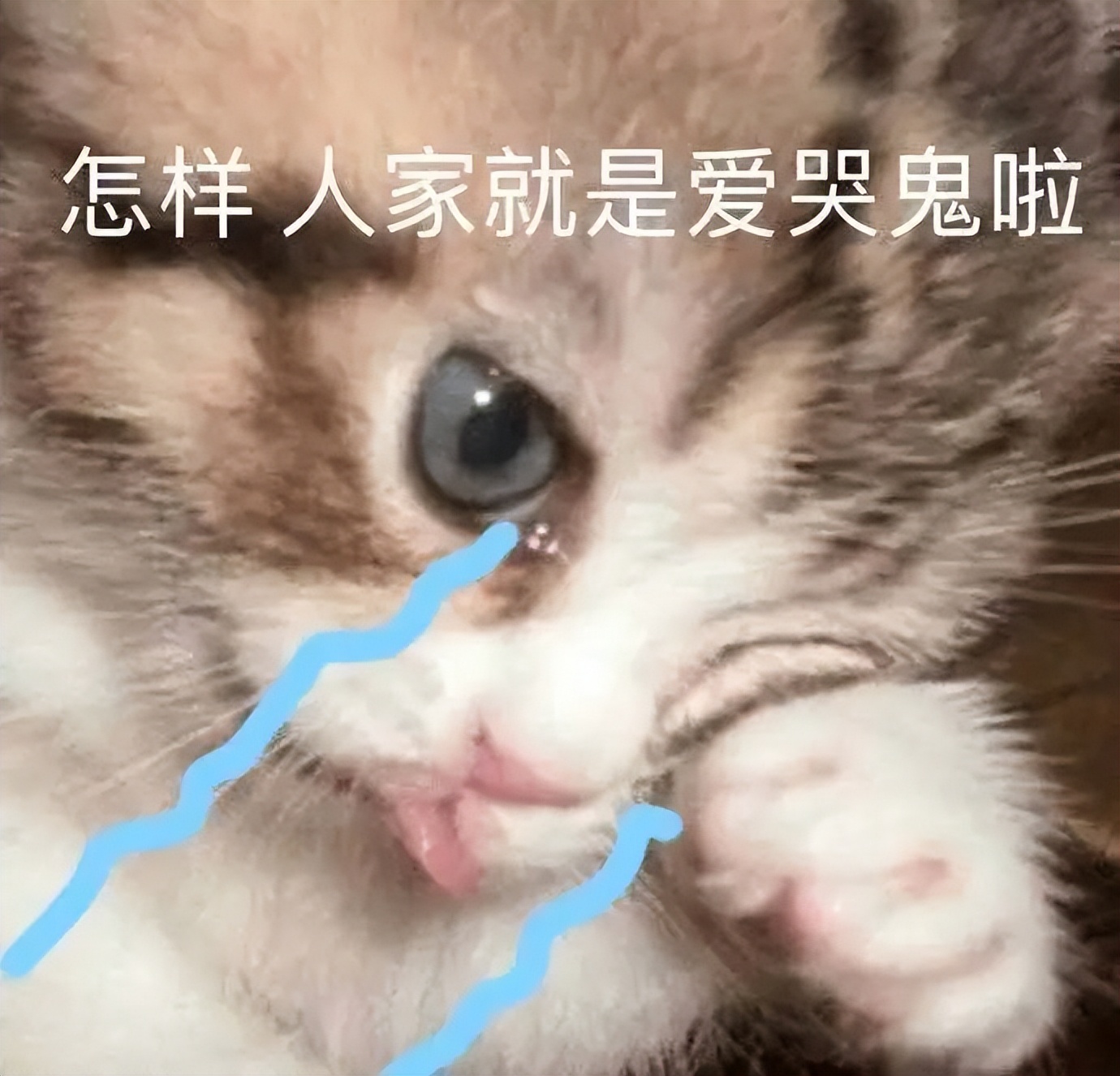 乐事和品客的薯片哪个好,乐事薯片成功的原因