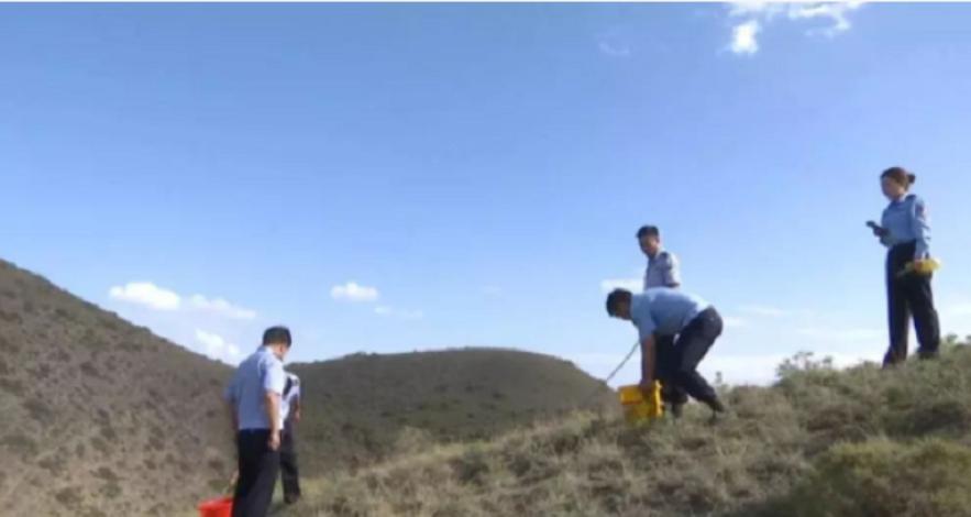 疯狂蝎子,最大蝎子到底有多可怕