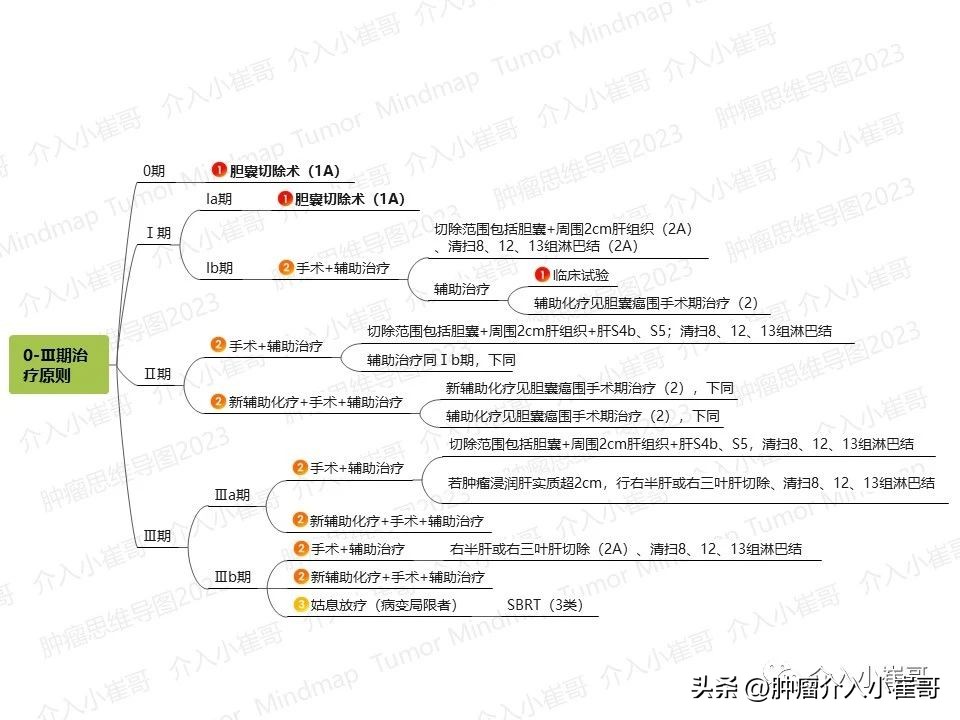 CSCO2023肿瘤思维导图胆囊癌诊疗指南