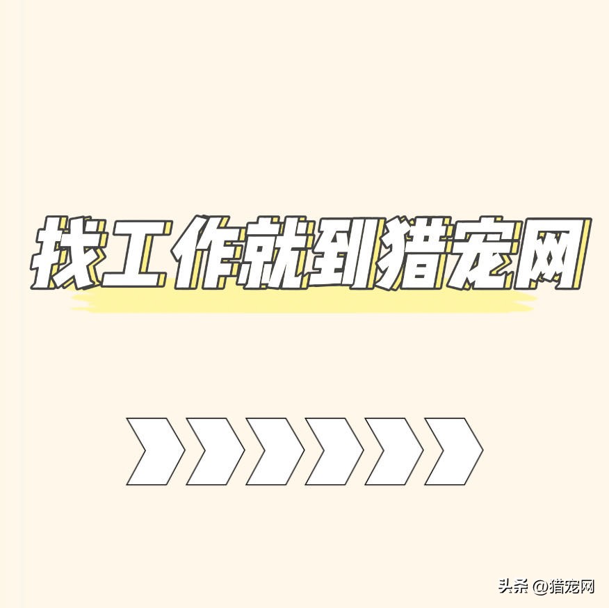 宠物店装修选址方案,宠物店选址建在哪里