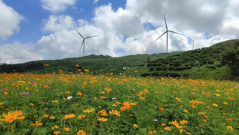 品牌调研┃清晰品牌管理“路线图”铸就中广核品牌特质走向世界