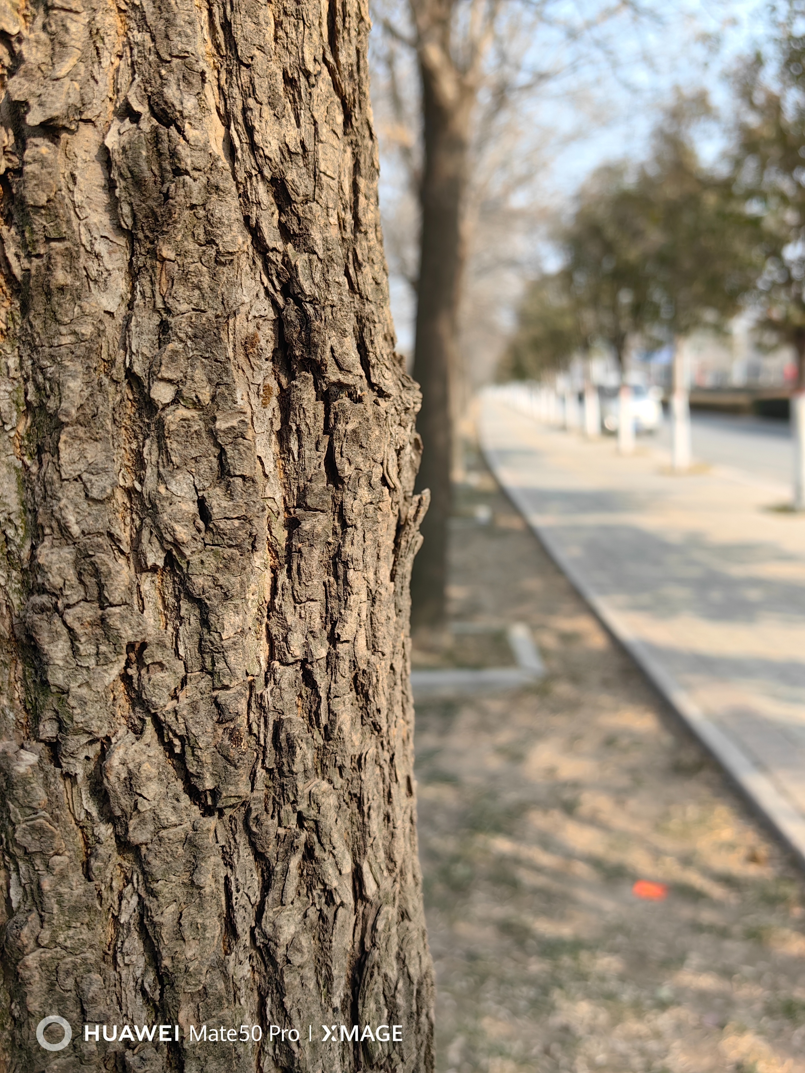 华为mate50pro为什么不用徕卡,华为mate50pro不用徕卡了吗