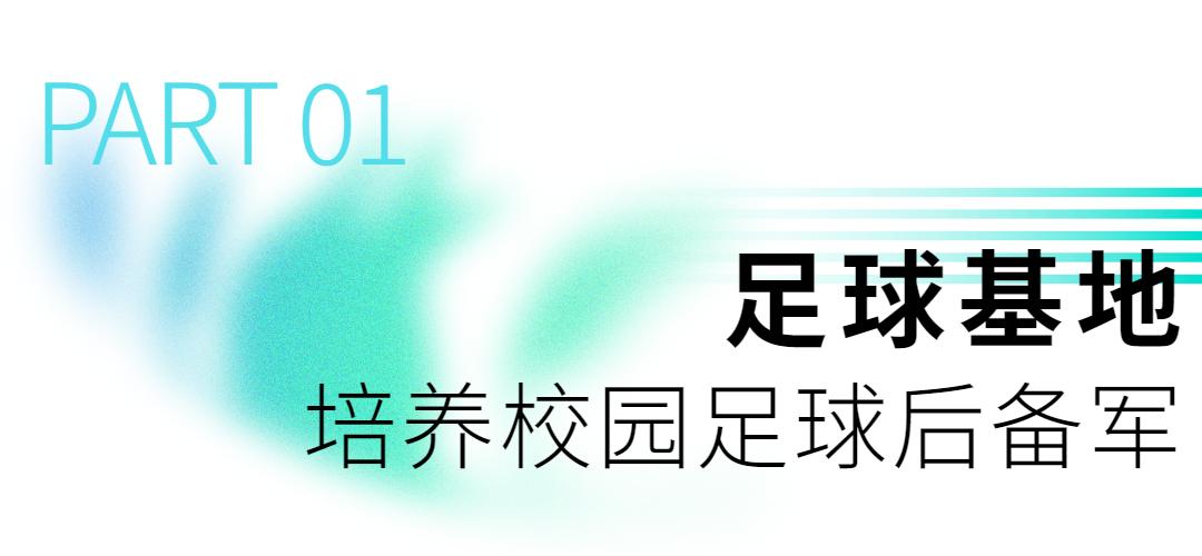 东西湖学校好不好,东西湖区比较好学校
