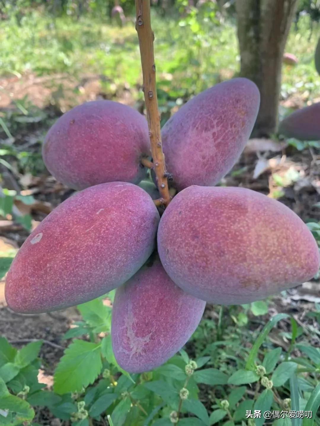 对快递有疑惑,快递的迷惑行为