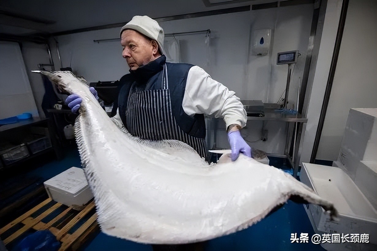 在伦敦哪里买新鲜的海鲜,伦敦海鲜市场买什么海鲜