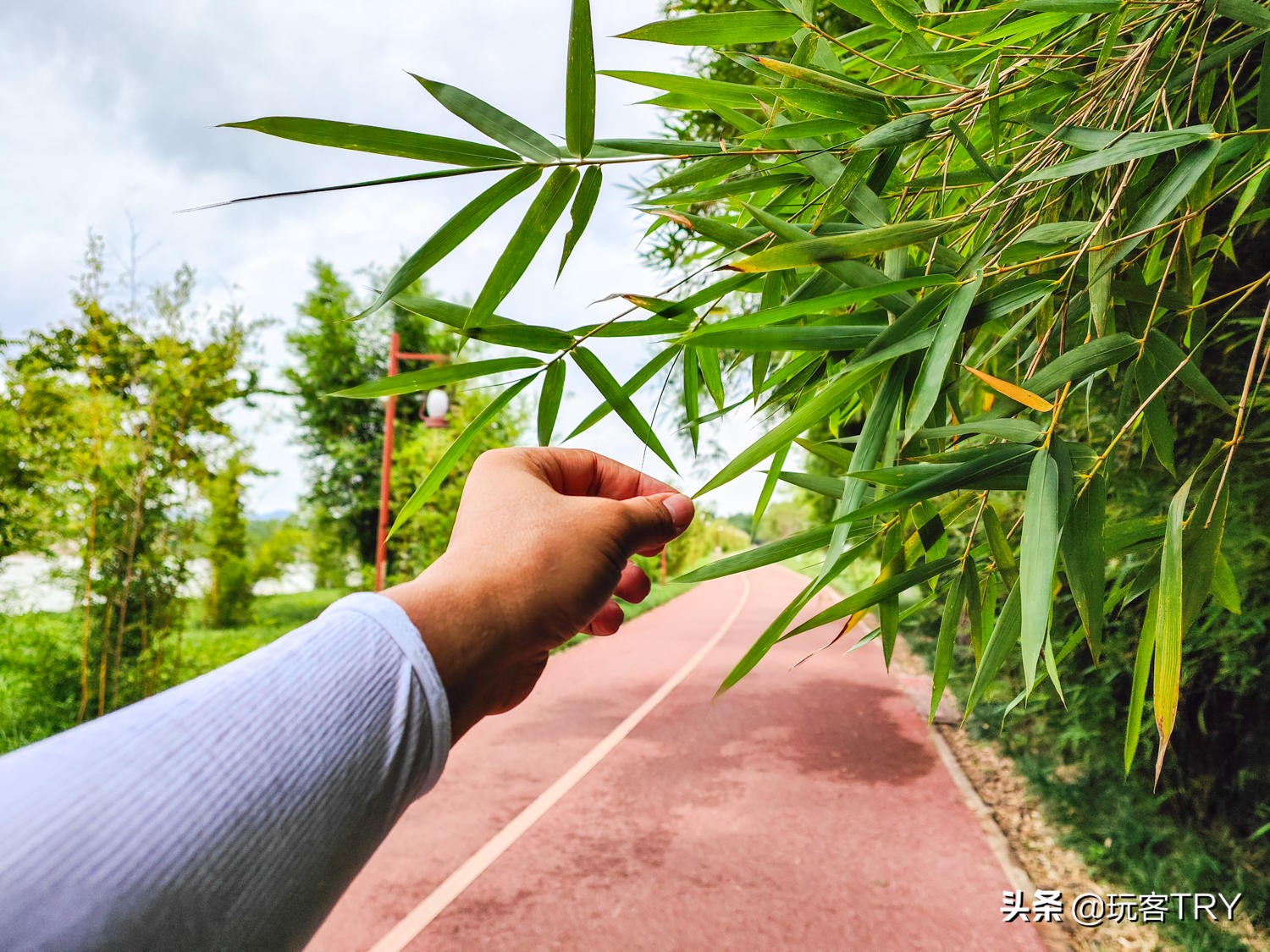 闲鱼捷安特假货多不,闲鱼卖的捷安特atx660假的吗