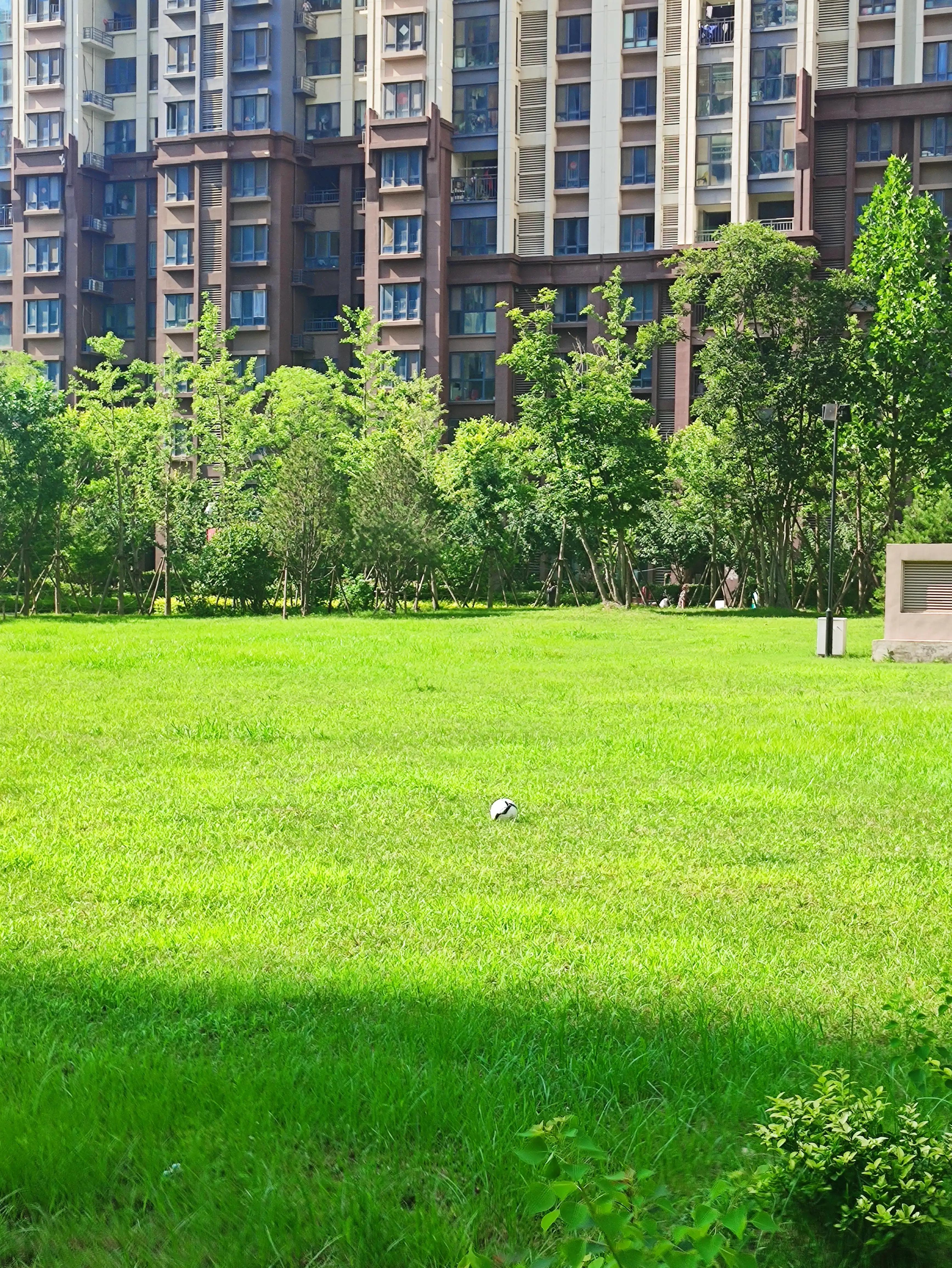 山东第一高楼停工了吗,山东第一高楼西海岸最新进展