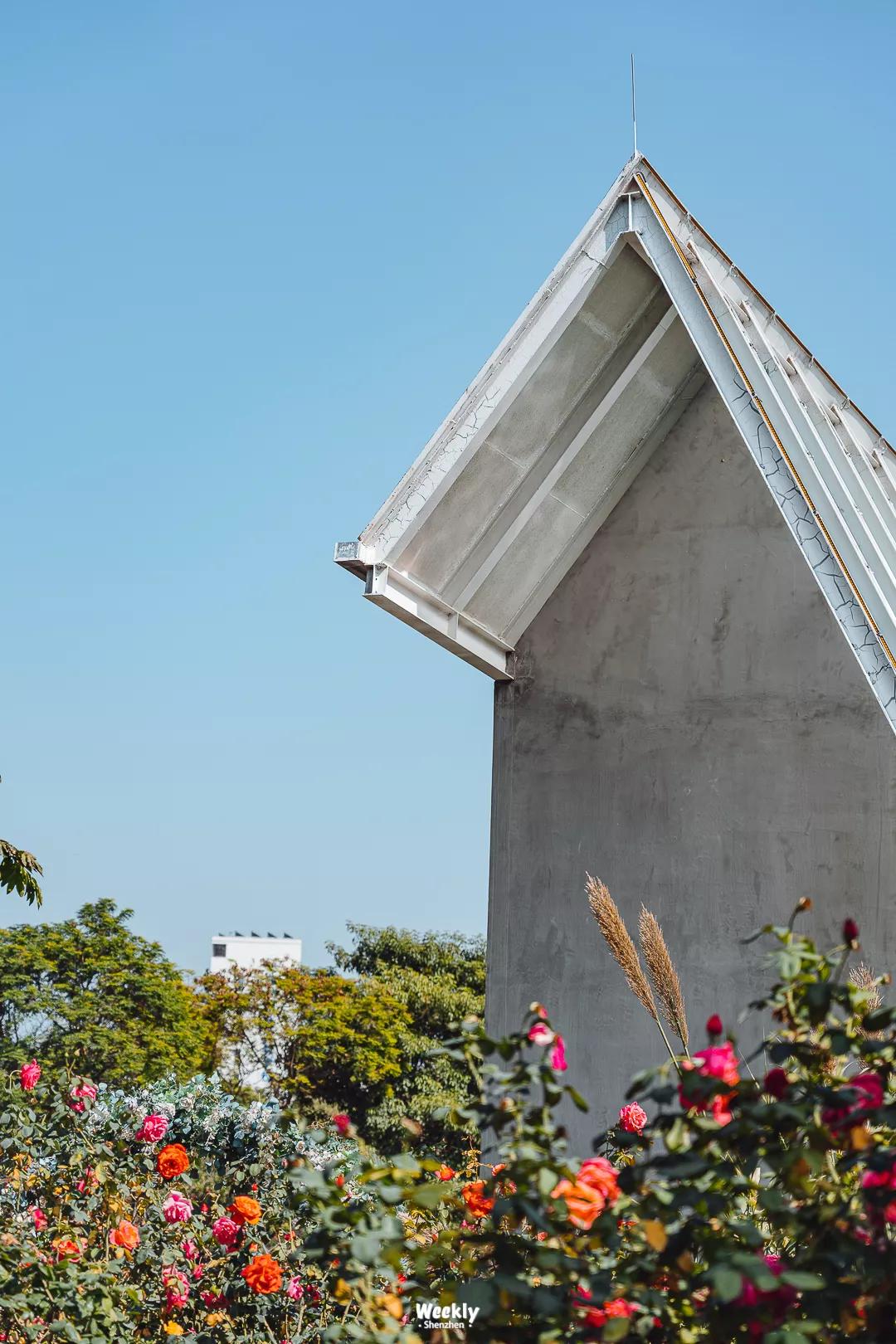 真羡慕那些住高档小区的人,真羡慕住在海边的人