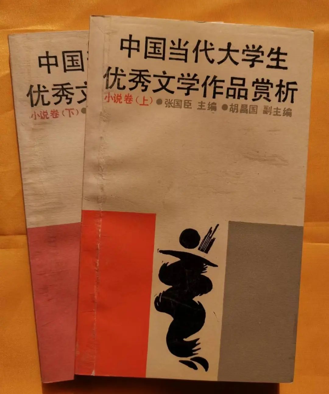 河南工学院张国臣,张国臣的圆梦与启航