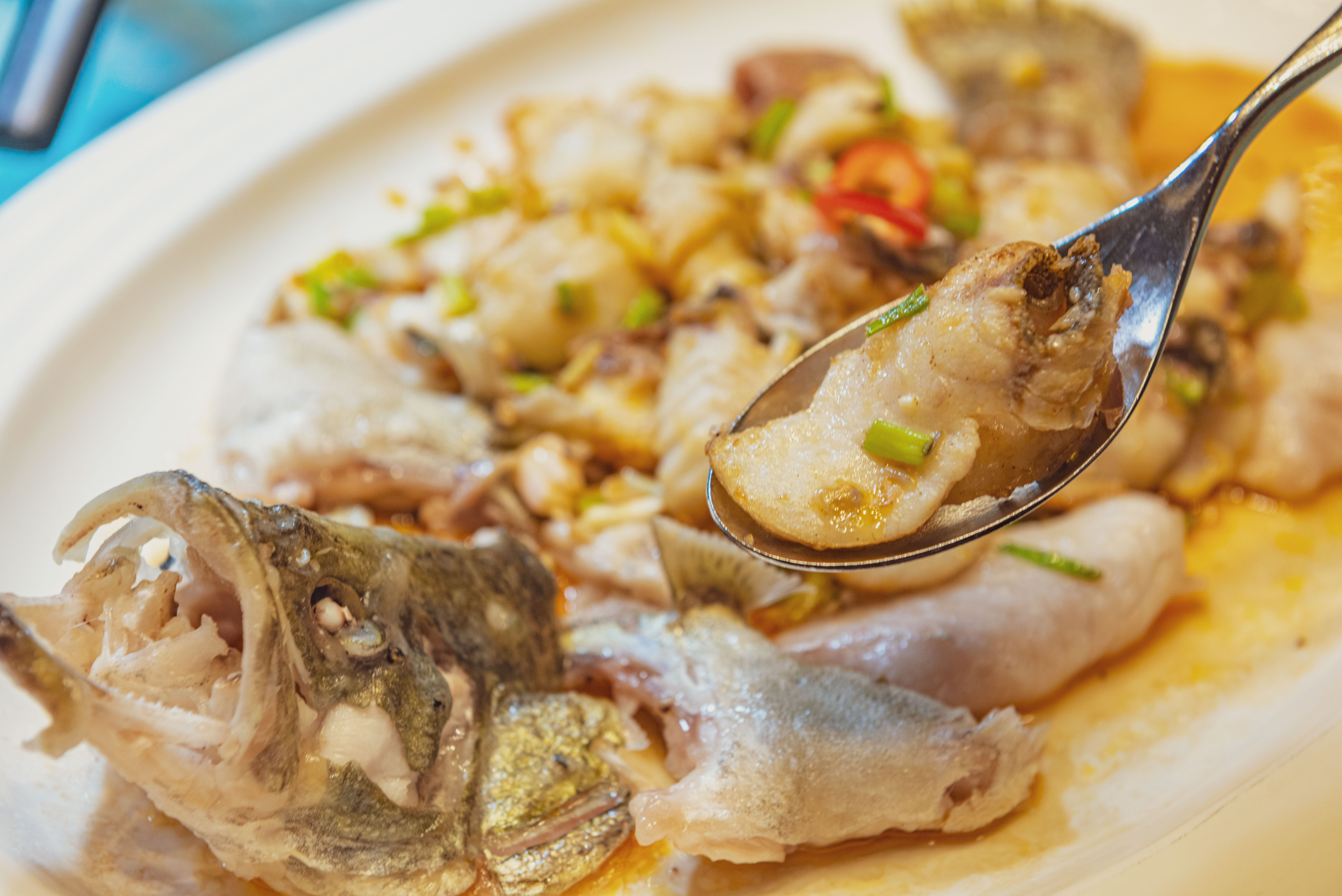 去顺德有什么好玩的,去顺德必玩的地方