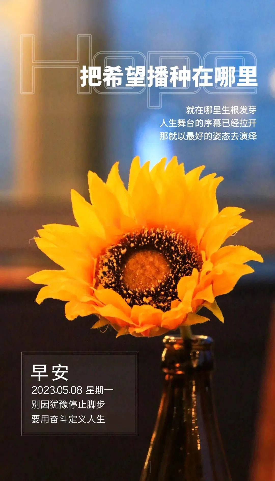 早安微笑语录经典句子,2020年经典早安心语语录锦集80条